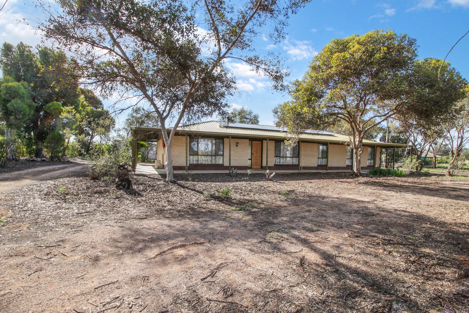 295 Arumpo Street, Renmark SA 5341, Image 0