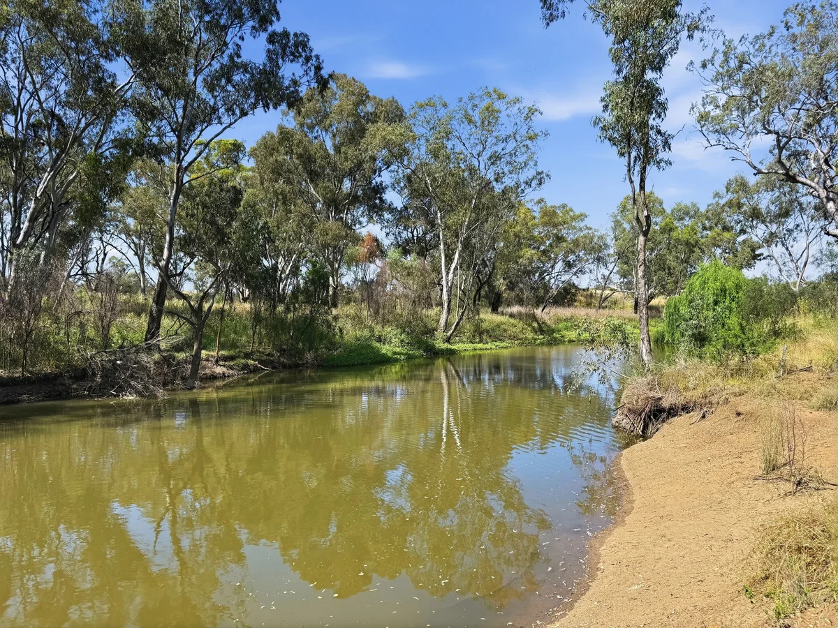 Additional image 18 of 80 Gwydirfield Road, Moree NSW 2400