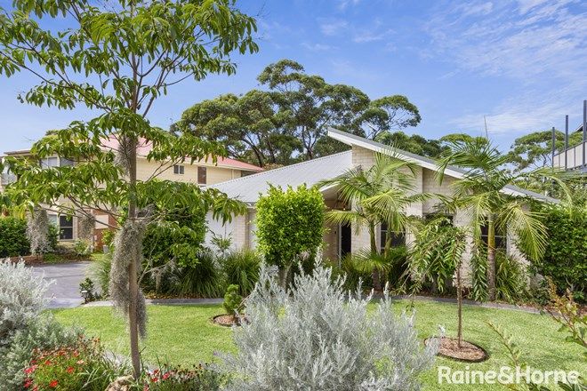 Picture of 87 Curvers Drive, MANYANA NSW 2539