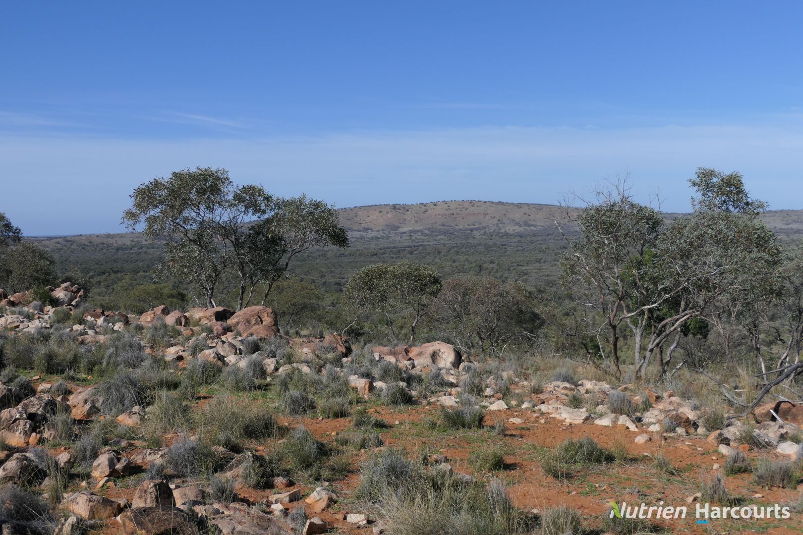 * Iona, Cobar NSW 2835, Image 1