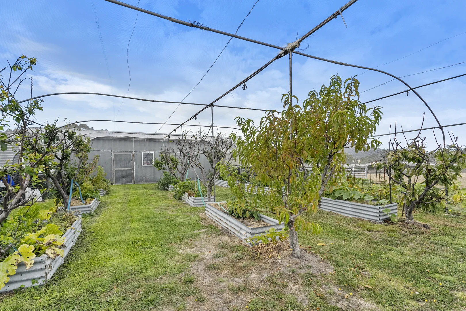 Additional image 44 of 94 Blue Hills Road, Copping TAS 7174