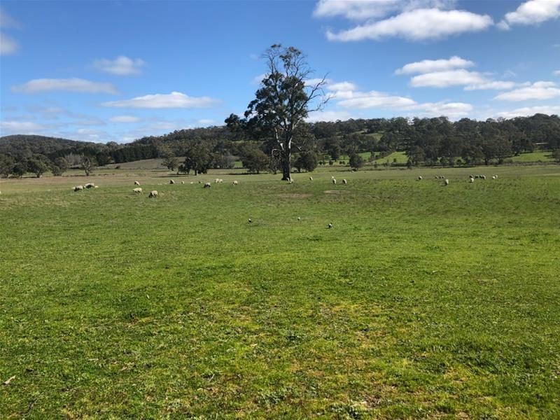 Lot 92 Onkaparinga Valley Road, Mount Torrens SA 5244, Image 1