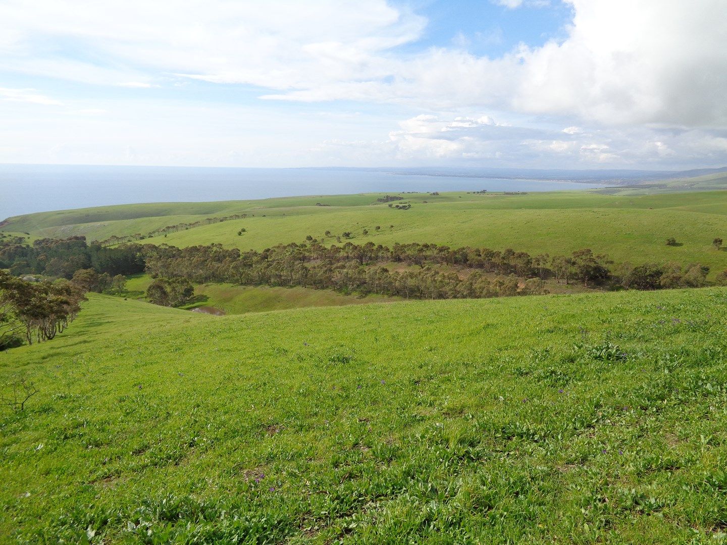 Lot 4 Whitelaw Road, Myponga Beach SA 5202, Image 0