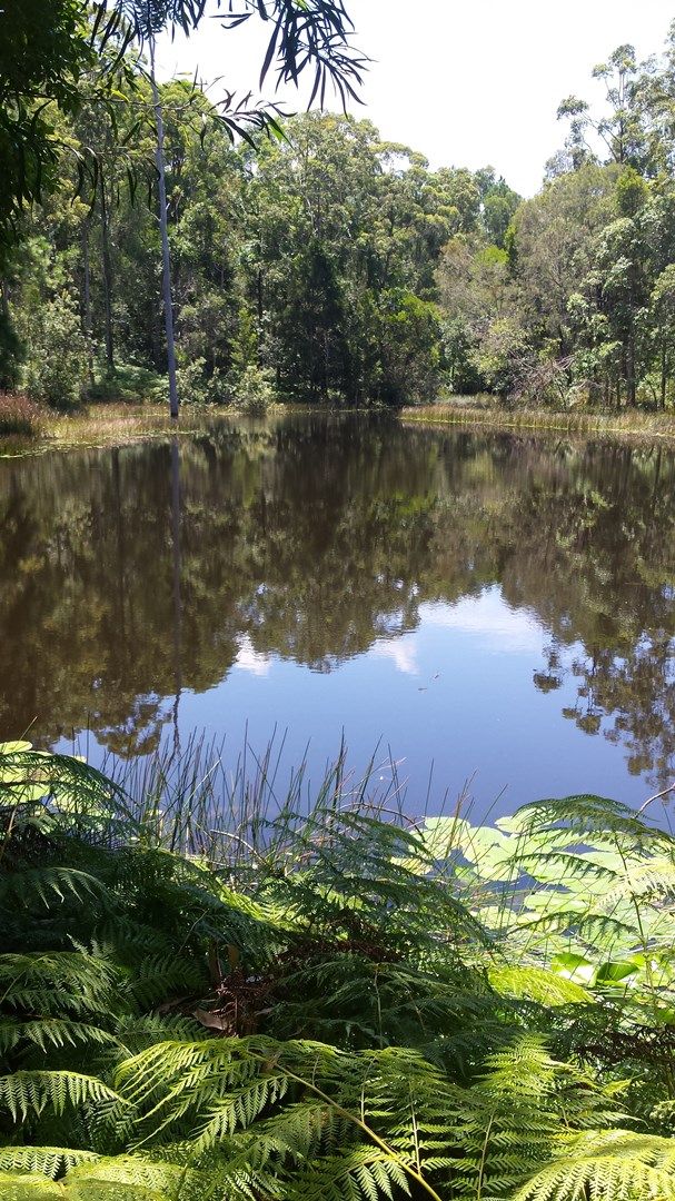 Wamuran Basin QLD 4512, Image 1