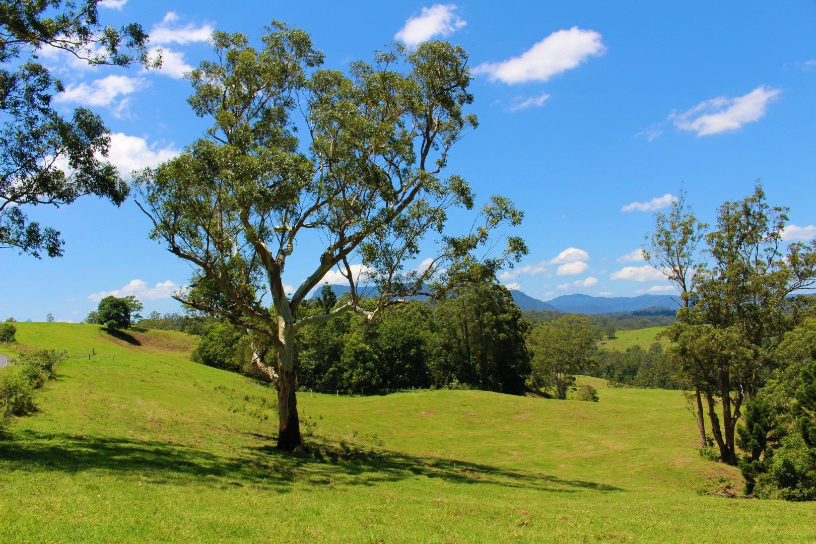 4753 Kyogle Road, Wadeville NSW 2474, Image 1