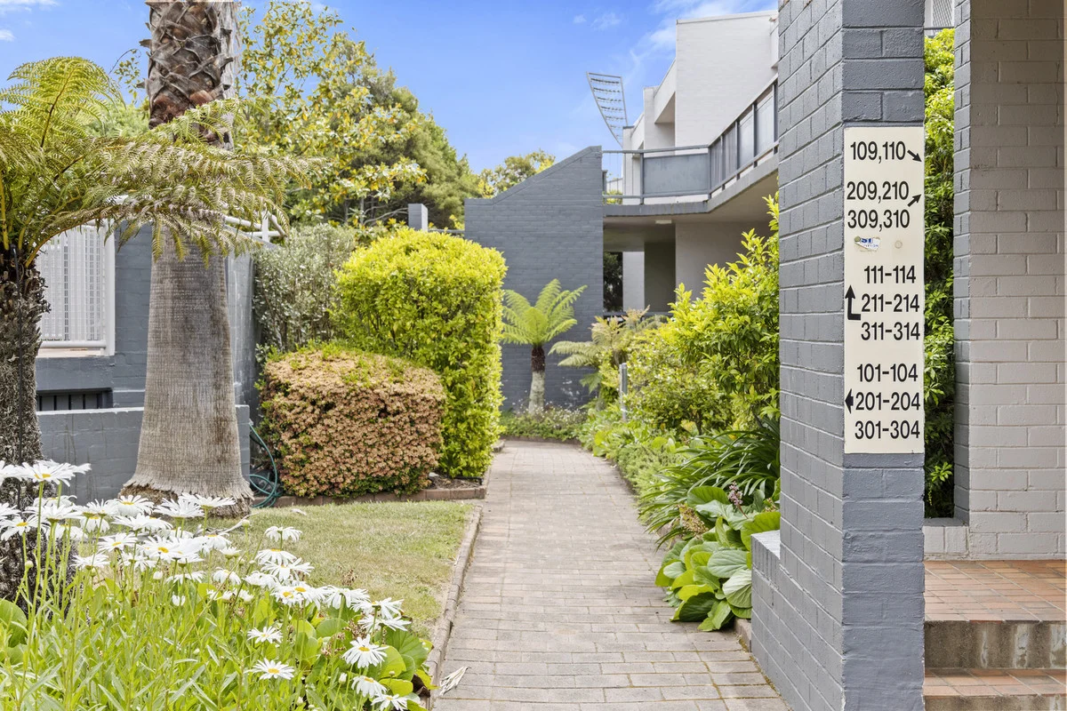 Image 19