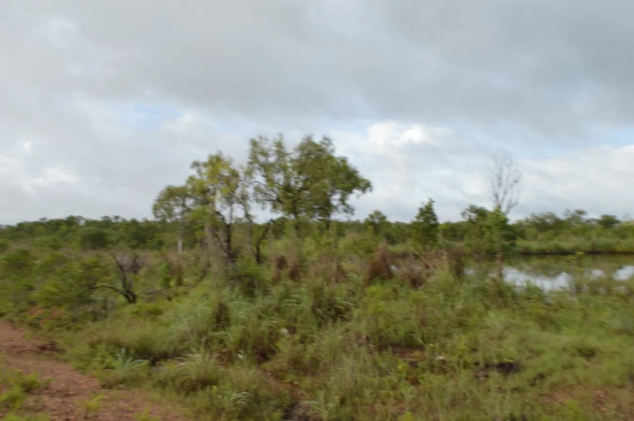 Image 10