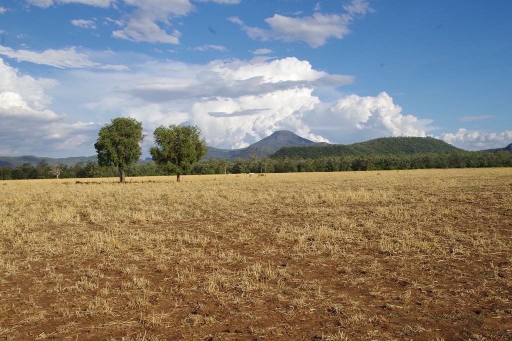 . Melburra Road, Edgeroi NSW 2390, Image 1