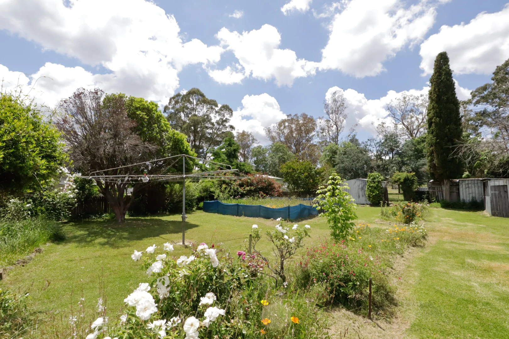 Additional image 12 of 93 Rouse Street, Tenterfield NSW 2372