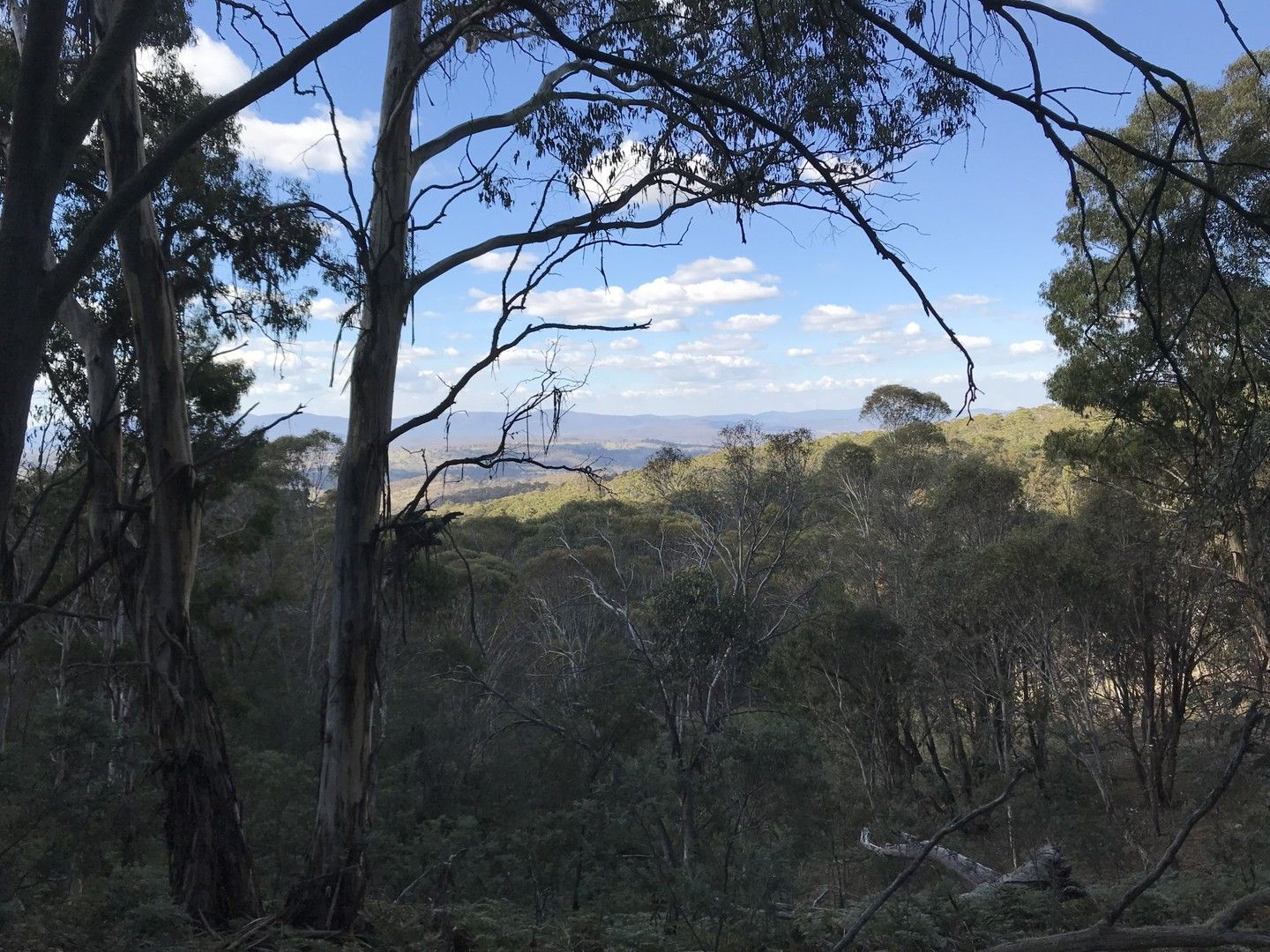 Lot 1 Bugtown Road, Adaminaby NSW 2629, Image 0