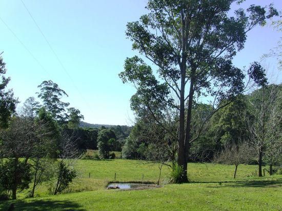 GUM SCRUB NSW 2441, Image 2