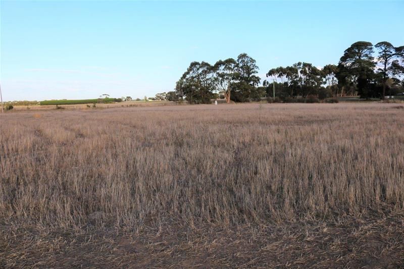 Crown Allotments/2 & 3 Carmichael Street, Woolsthorpe VIC 3276, Image 2