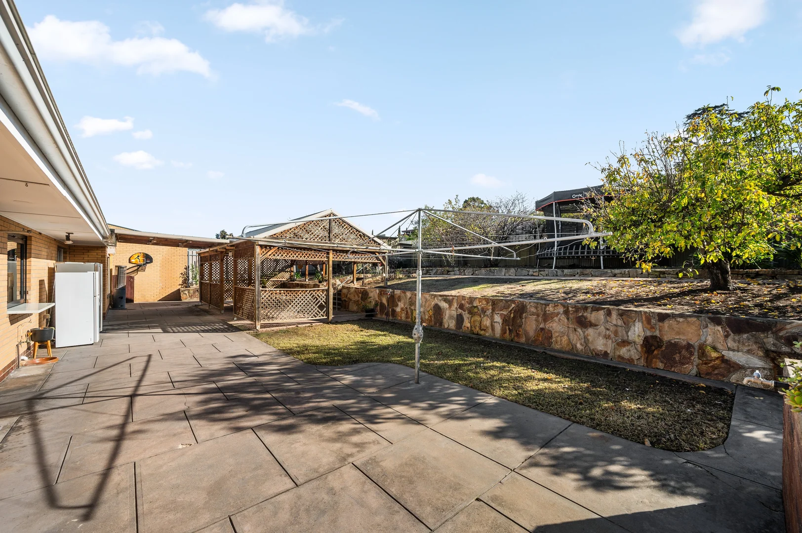 Image 20