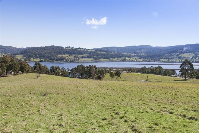 Picture of Lot 8/1640 Cygnet Coast Road, CRADOC TAS 7109