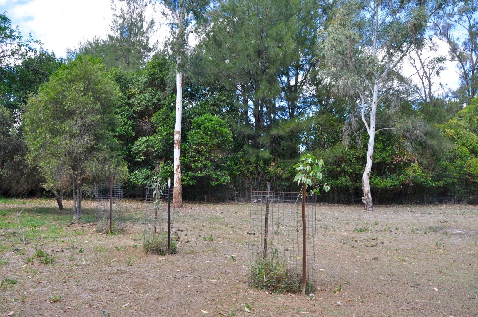 Lot 11-12 Frederick Street, Woolomin NSW 2340, Image 2