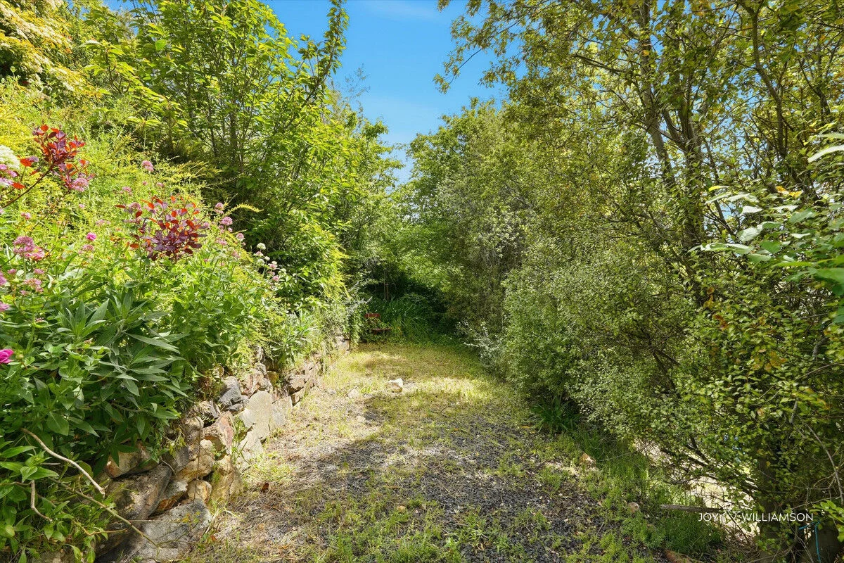 Image 30