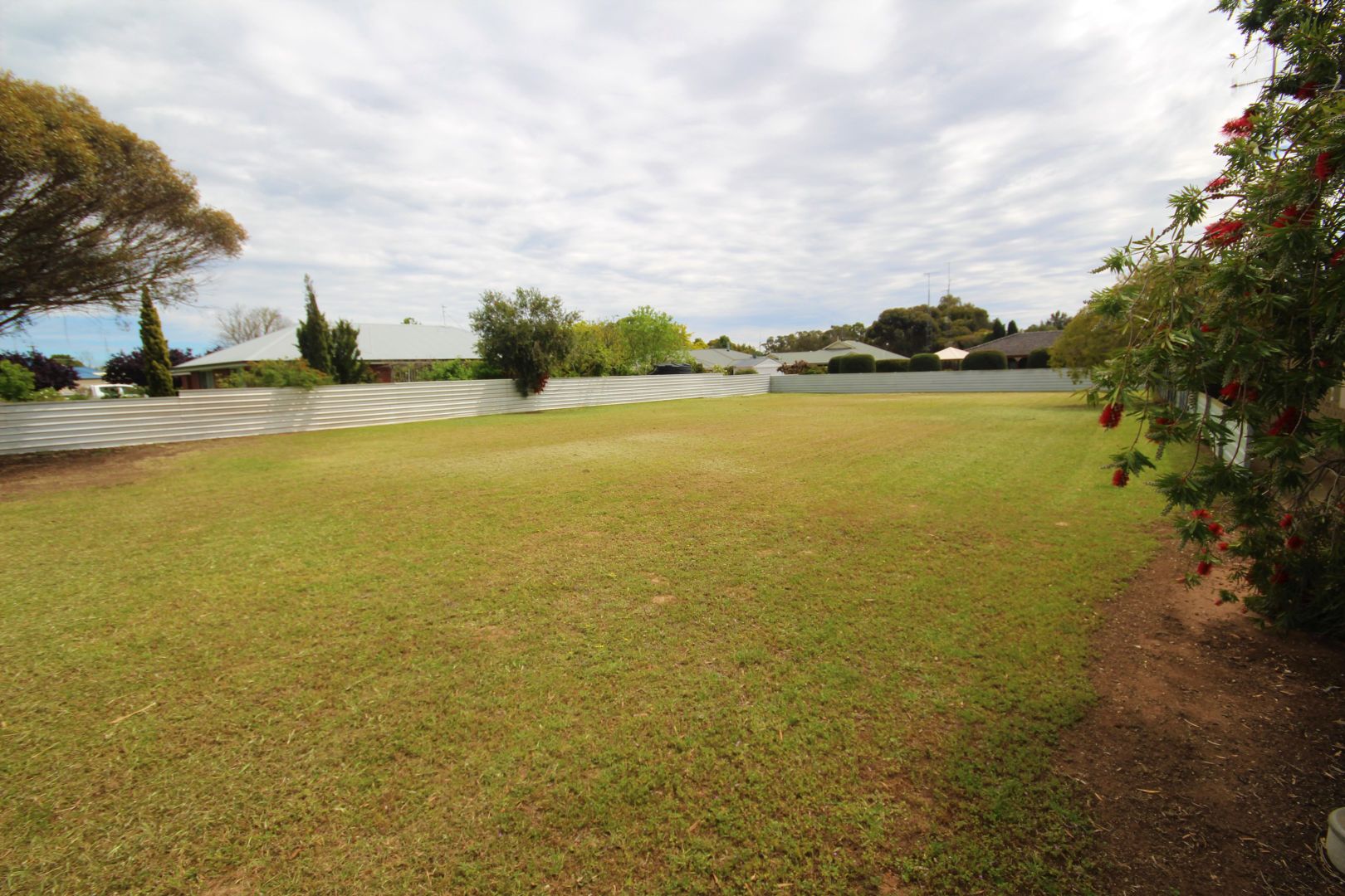 61 Venn Avenue, Bordertown SA 5268, Image 1