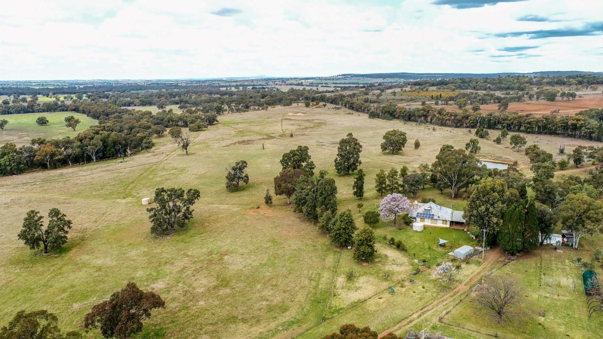 99R Goan Creek Road, Ballimore NSW 2830, Image 0