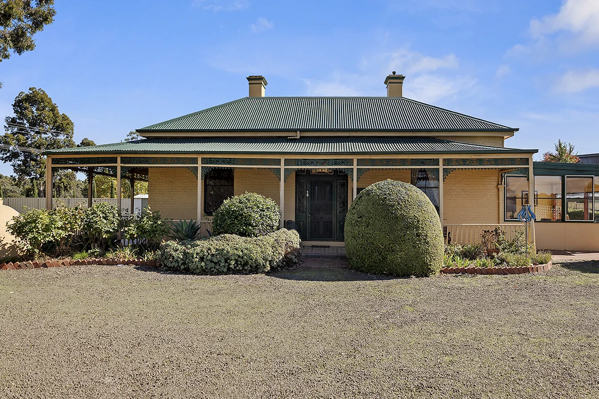 Image 21