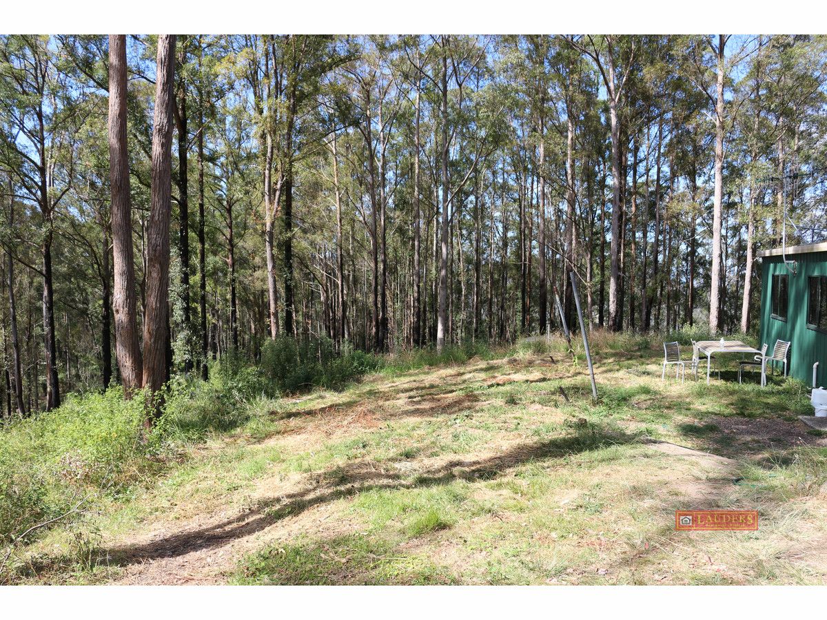 395 Knodingbul Forest Road, Mount George NSW 2424, Image 2