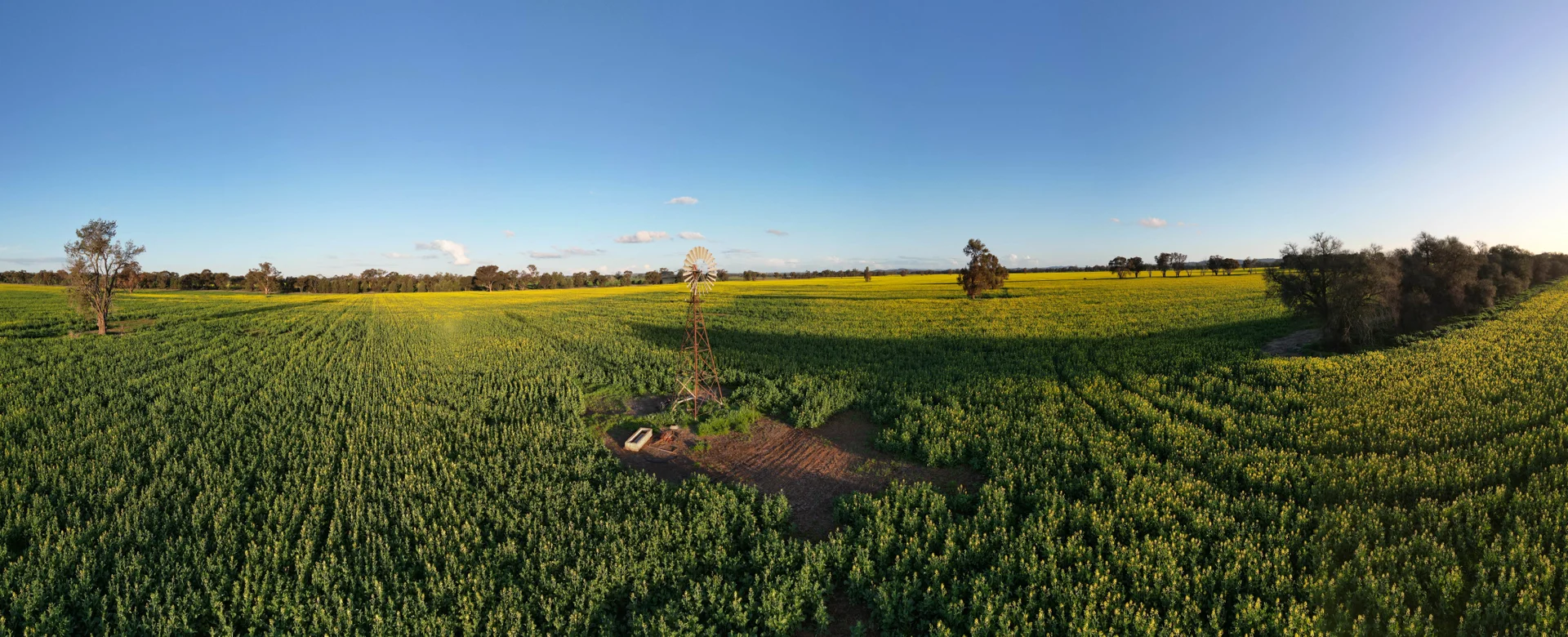 Image 13