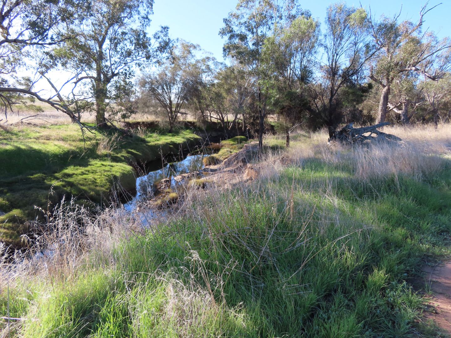 Lot 1 Barndon Street, Spencers Brook WA 6401, Image 1