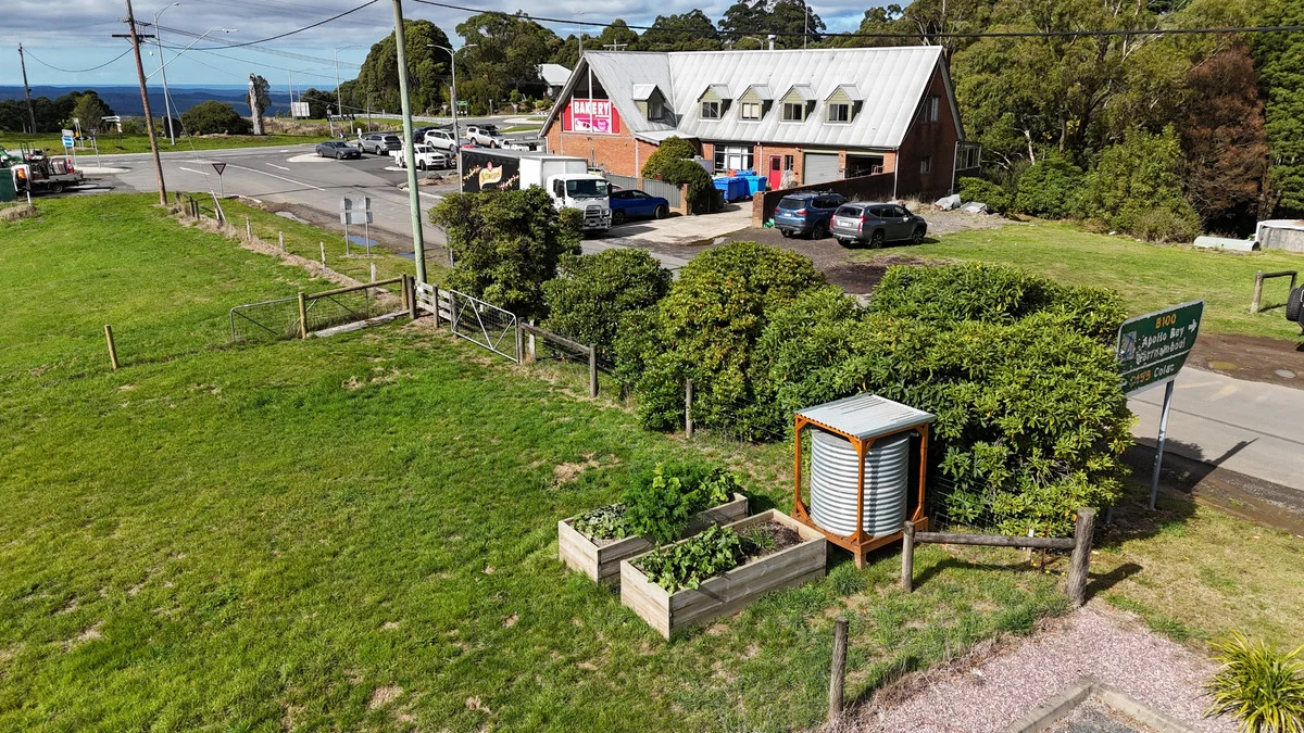 Image 5
