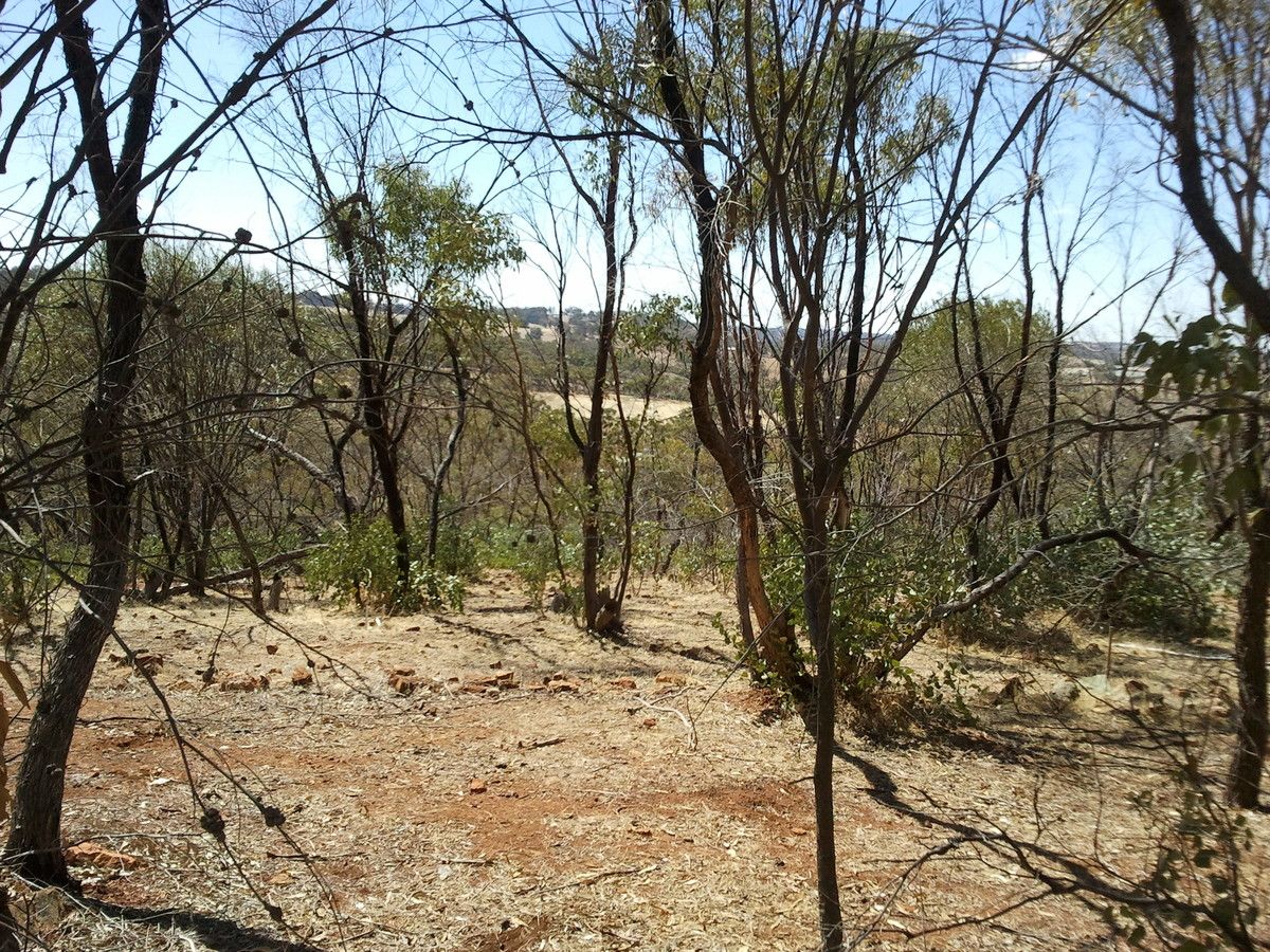 12 Katta Rise, Coondle WA 6566, Image 0