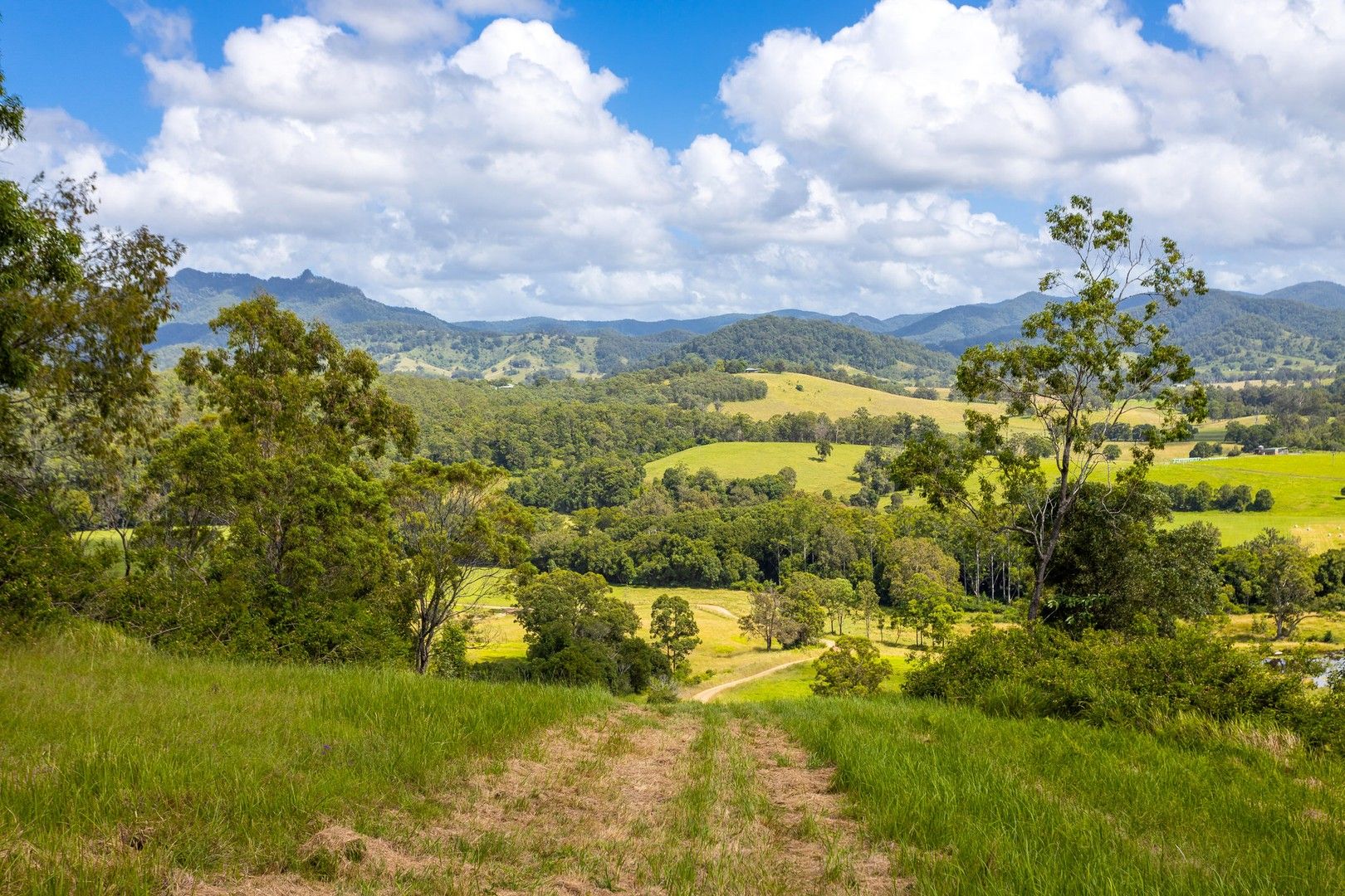 Lot 101 Beitibombi Creek Road, Wherrol Flat NSW 2429, Image 0