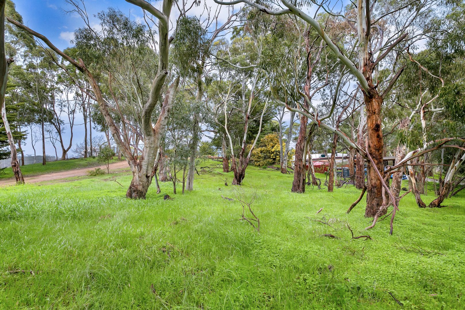 45 Mount Barker Road, Leawood Gardens SA 5150, Image 1