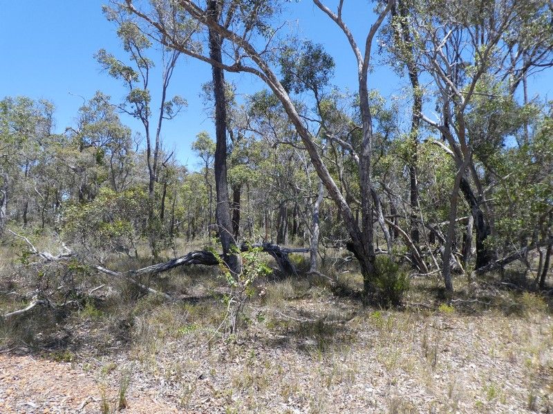 Lot 8 Rocky Gully Road, Rocky Gully WA 6397, Image 2