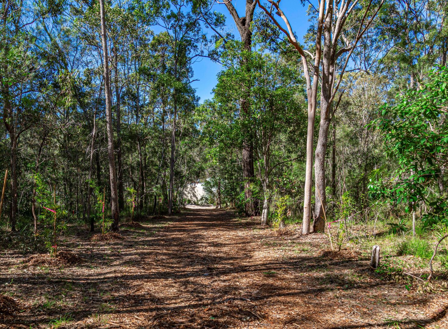 Wolvi QLD 4570, Image 2