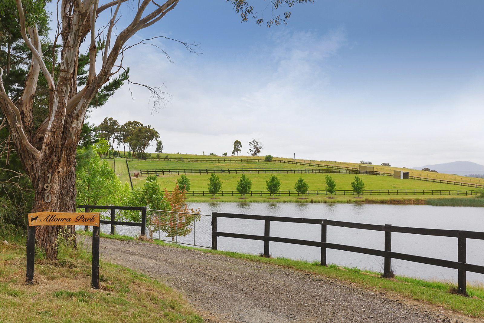 Dixons Creek VIC 3775 House for Sale Domain