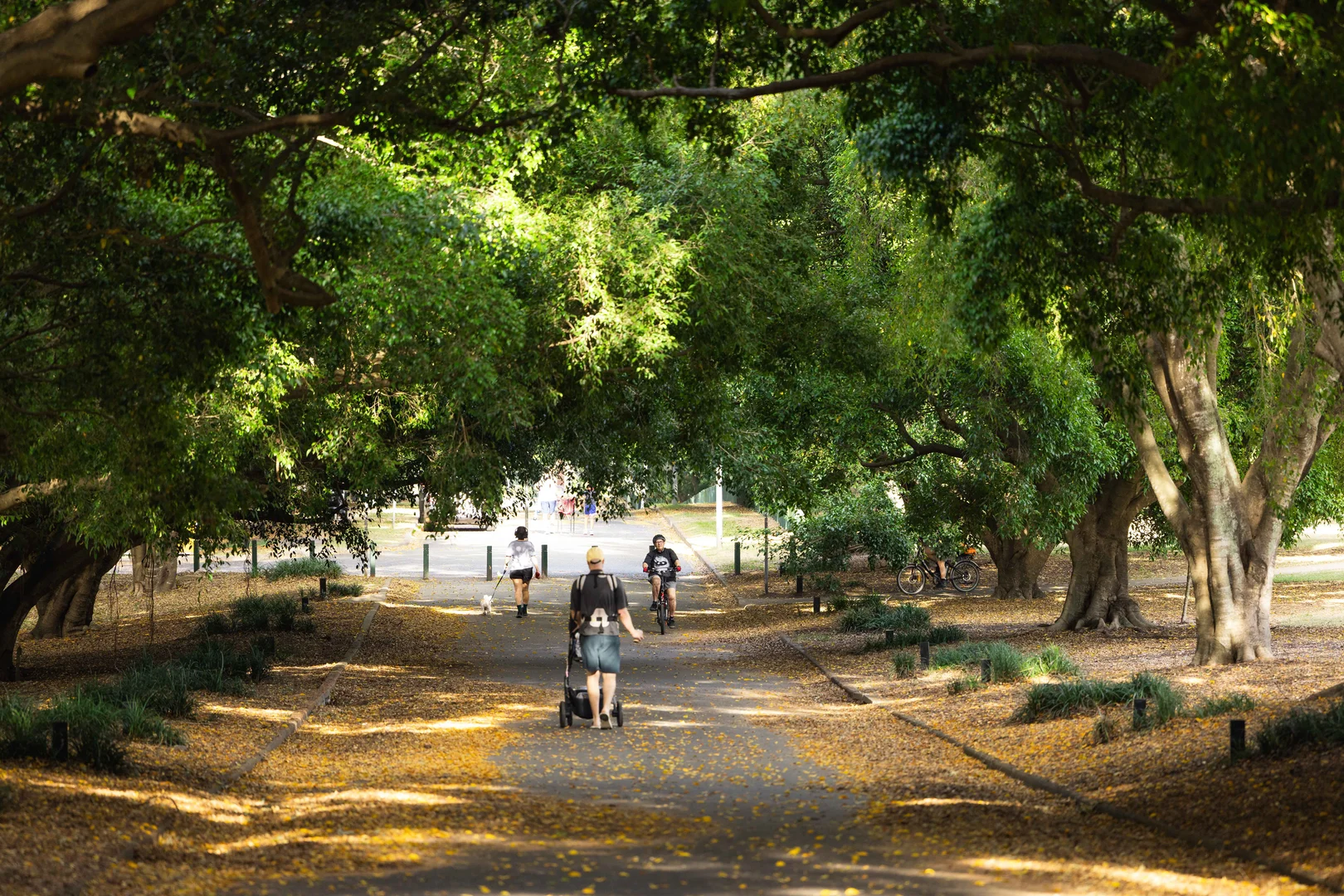 Additional image 10 of 7/35 Shottery Street, Yeronga QLD 4104