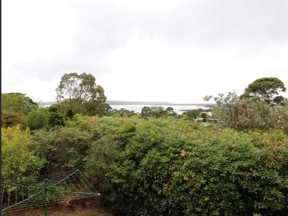 Image 19