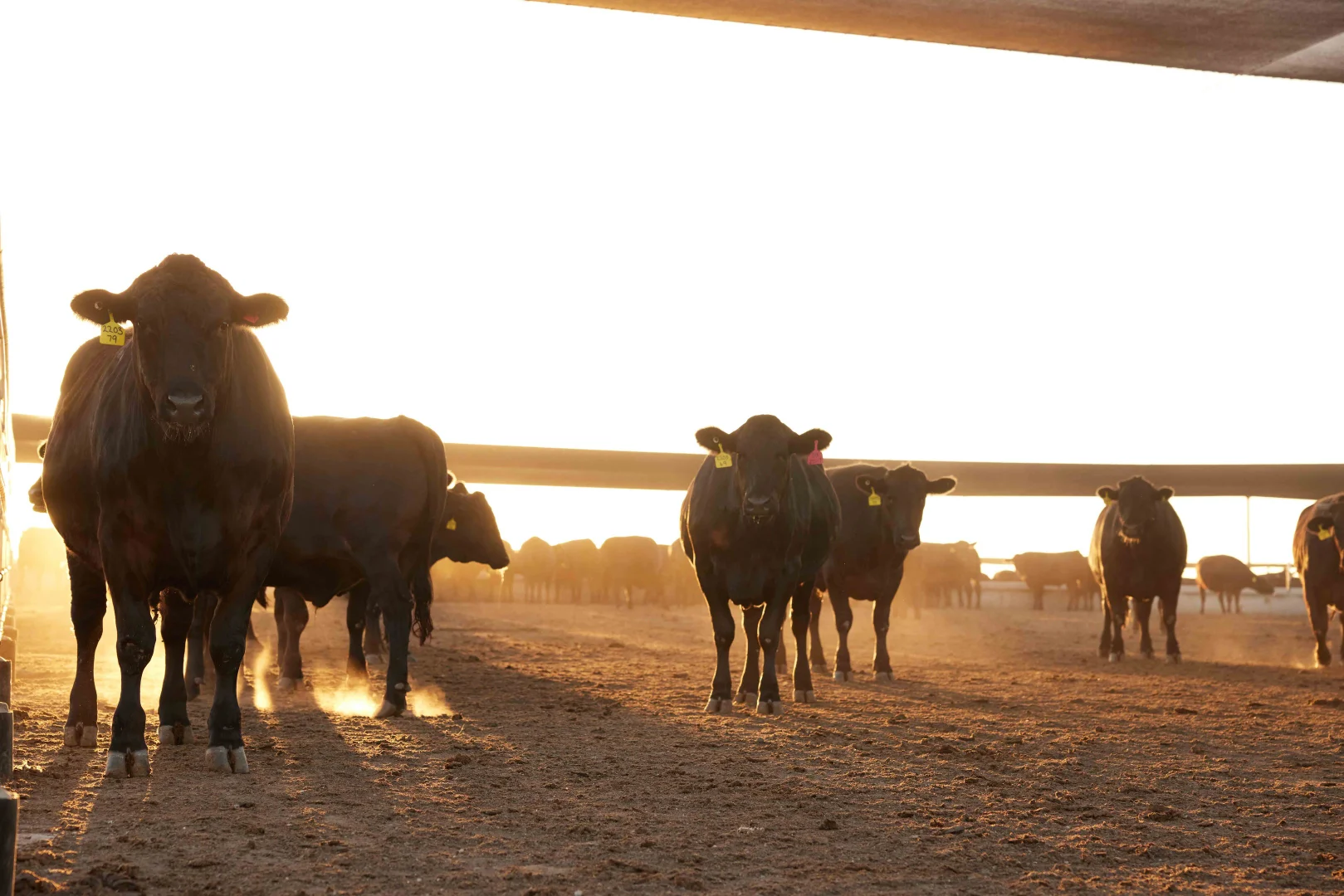 Additional image 7 of Proston QLD 4613