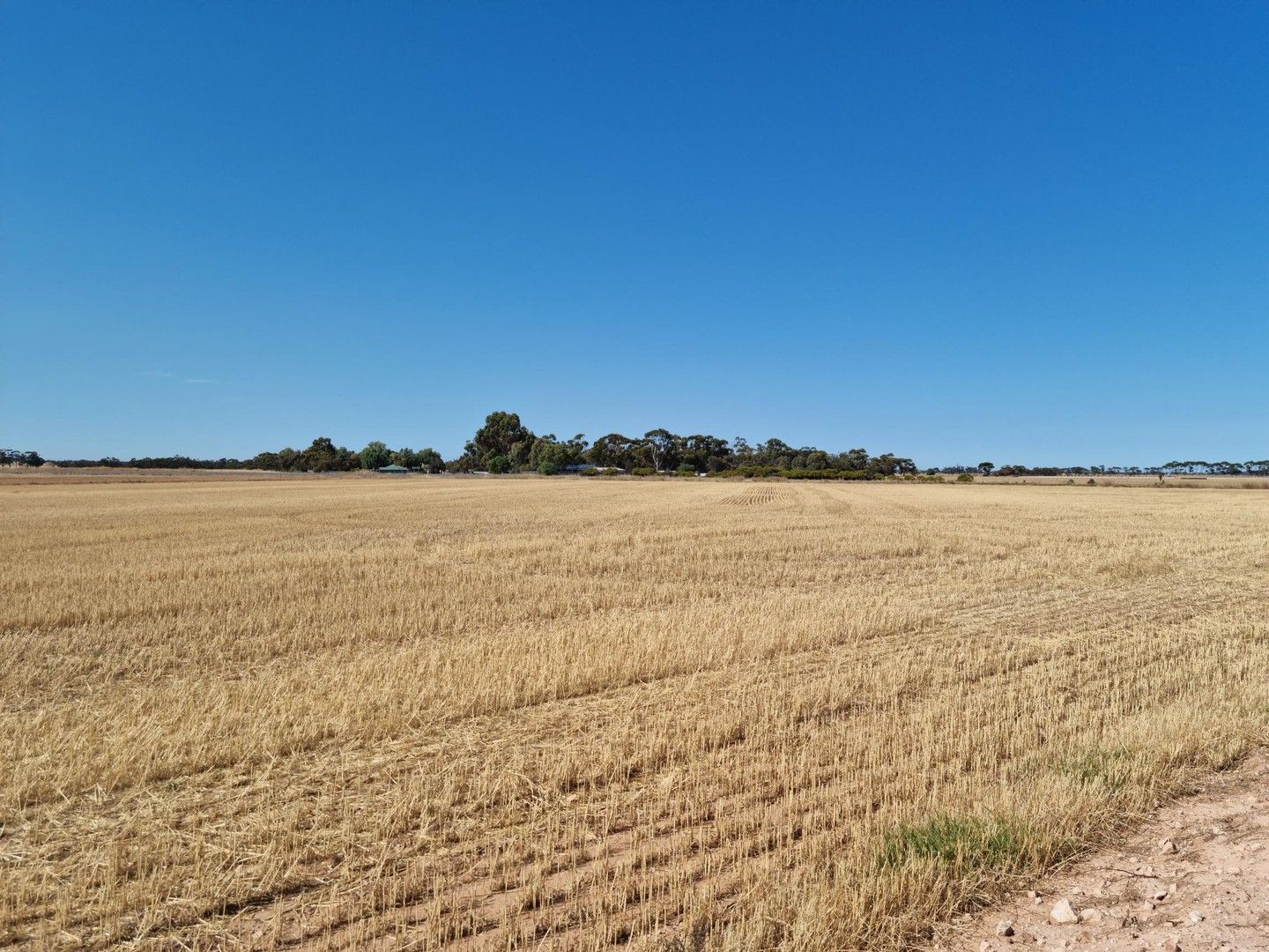 1005, 1006 & 1007 Cheek Road, Redbanks SA 5502, Image 0