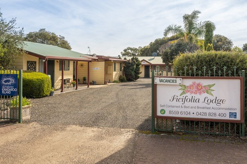 13 Cook Street, Parndana SA 5220, Image 0