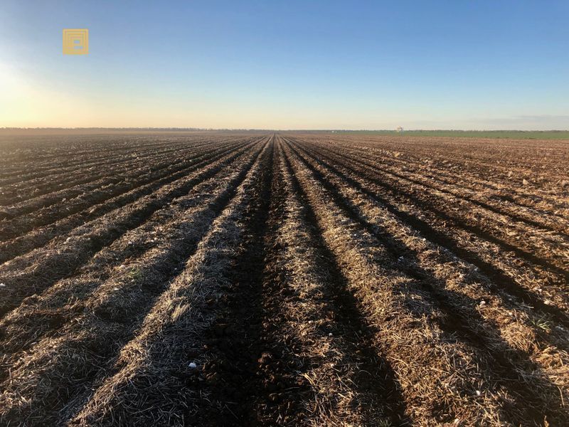 "Tarlee" Newell Highway, Narrabri NSW 2390, Image 2