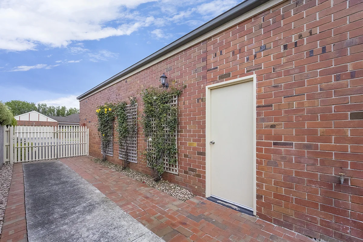 Image 15