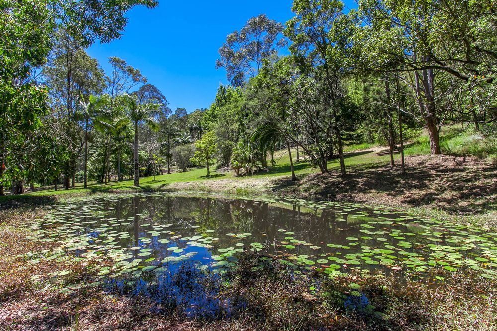 297 Mafeking Road, GOONENGERRY NSW 2482, Image 2