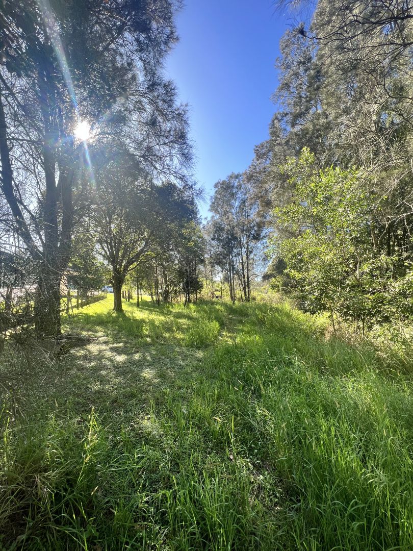 29 Wallaroo Street, Coomba Park NSW 2428 Domain