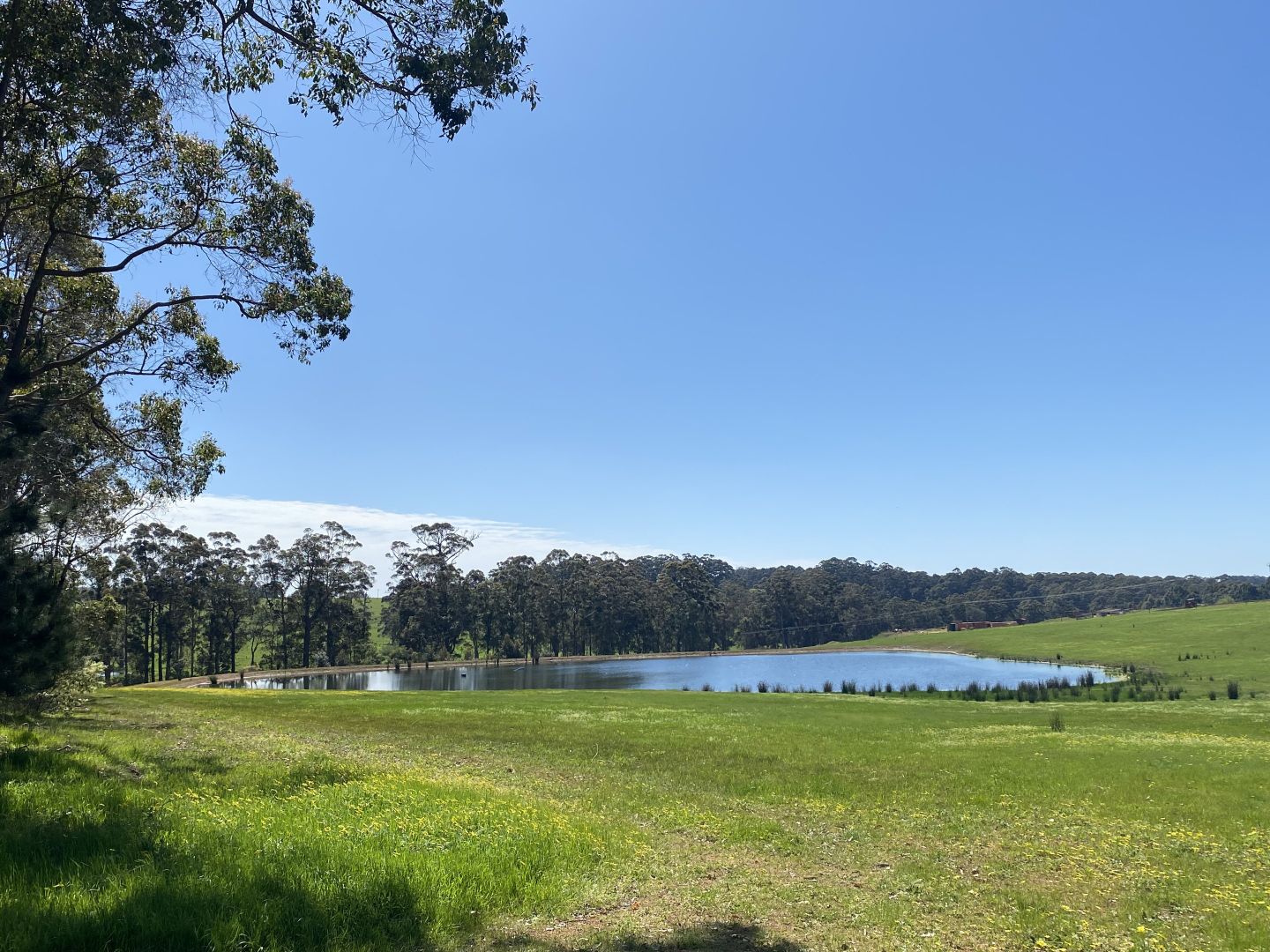 Lot 10838 Piano Gully Road (Middlesex), Manjimup WA 6258, Image 2