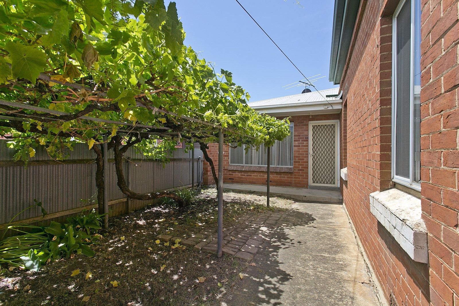 41 Ebor Avenue, Mile End SA 5031, Image 2