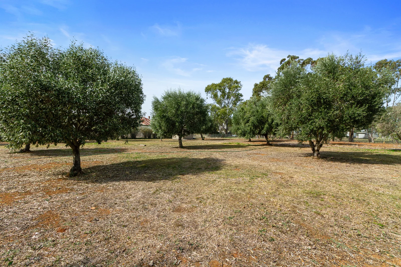Image 30