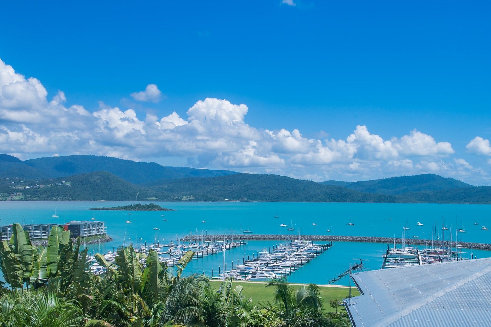 11/2 Lewis Street, Airlie Beach QLD 4802, Image 0