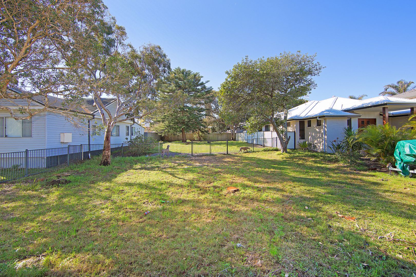 157 Budgewoi Road, BUDGEWOI NSW 2262, Image 2