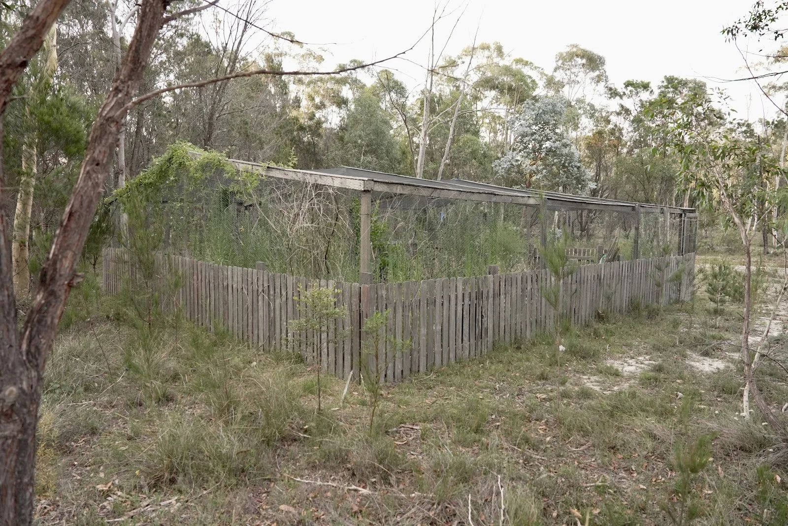 Additional image 18 of 134 Gumnut Crescent, Bungonia NSW 2580