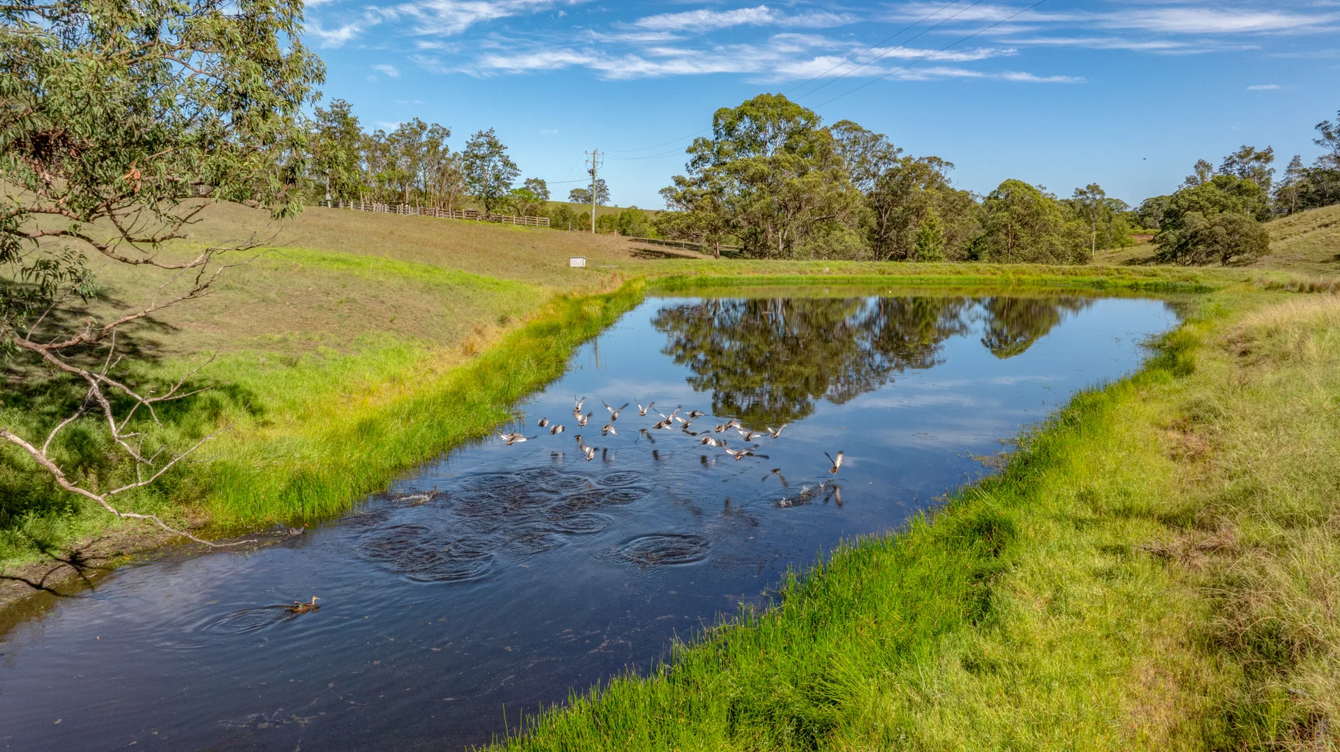 Additional image 27 of 1712 Stroud Hill Road, Dungog NSW 2420