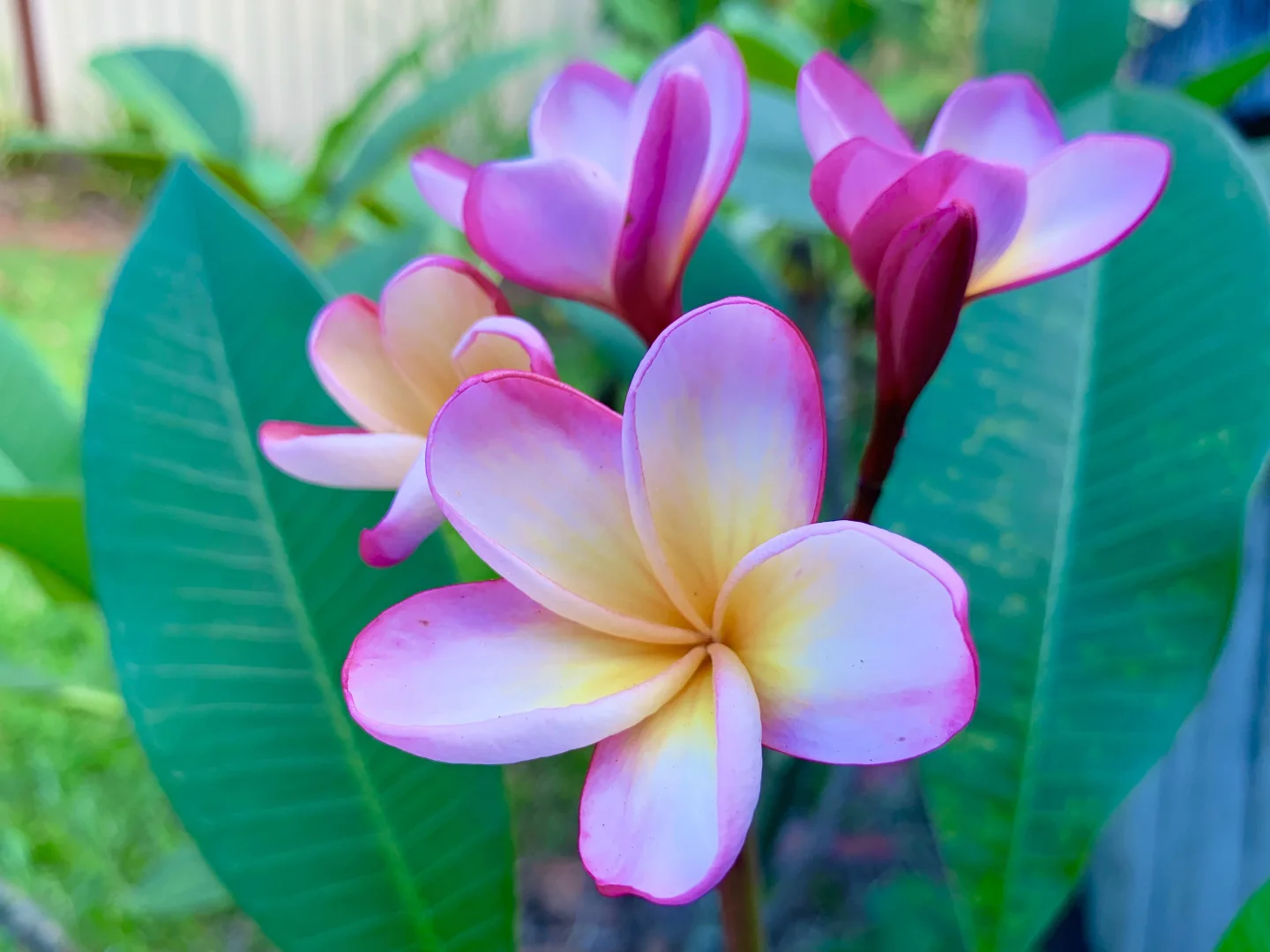 Additional image 13 of 37/128 Benowa Road, Southport QLD 4215